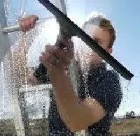 Window cleaner